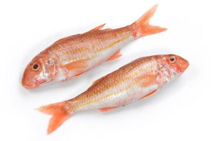Red Mullet. E300-400g ach. Priced by Kg.