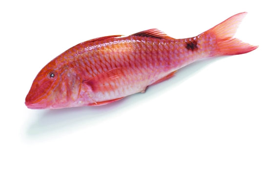 175  Red Mullet Exotic  200g+ Each. Priced by Kg.
