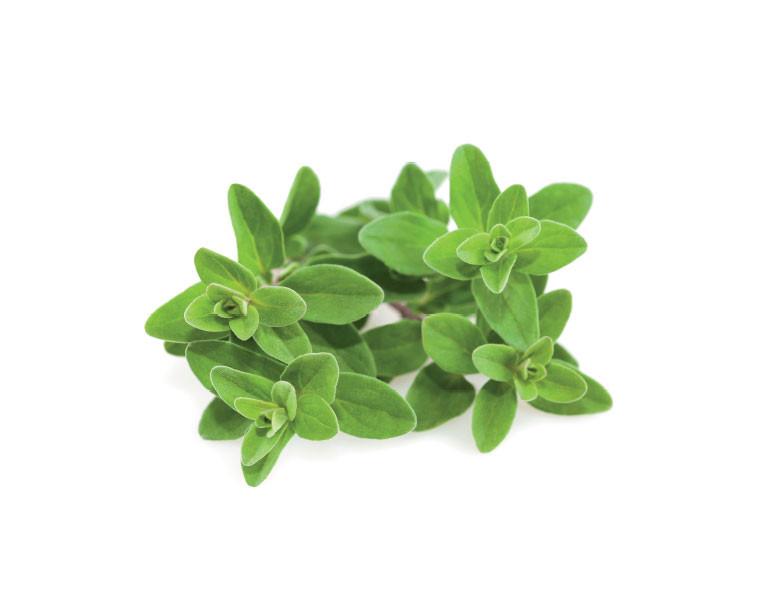 Marjoram 100g bunch