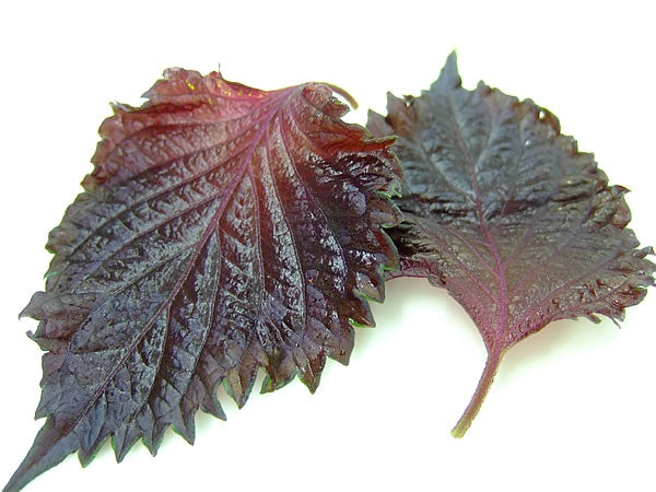SUP. Shiso Leaf Red. 30g