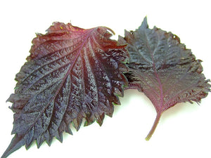 Shiso Leaf Red. 30g