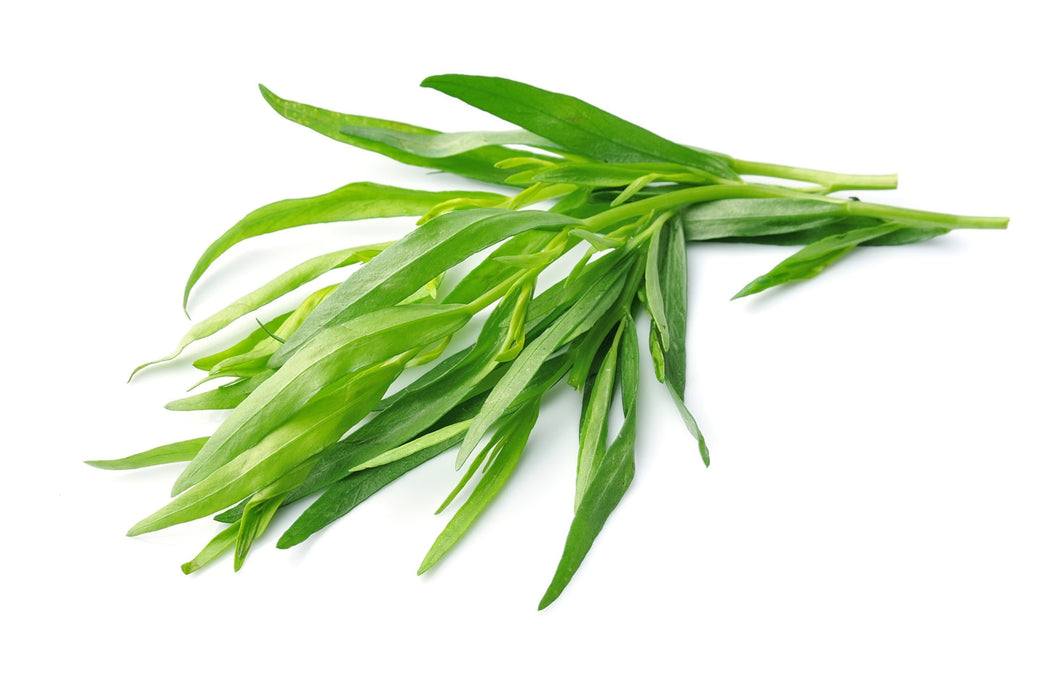 Tarragon 100g bunch