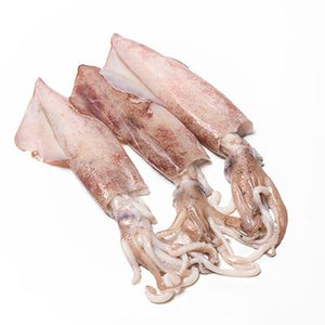 211  Squid Whole Large 500g+  each.  priced by KG