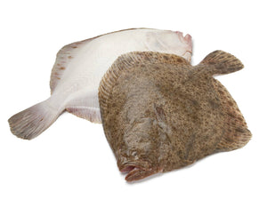 2433  Turbot Whole Farmed  each. Price by Kg