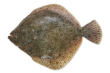STICK. Turbot Wild Gilled & Gutted Whole 2-3kg