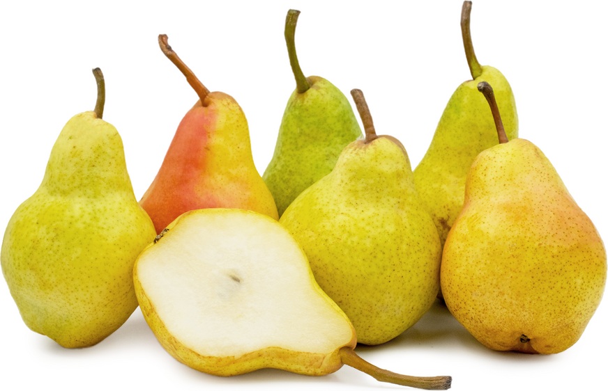 Parlette Pears SUP. Pears William Kilo – FreshFood2u