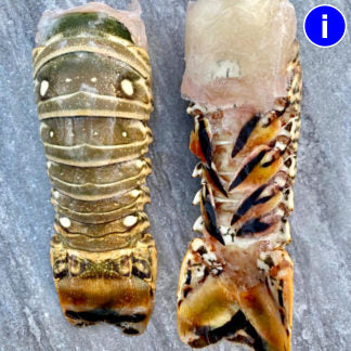 STICK. Raw Caribbean Lobster Tail – 140g